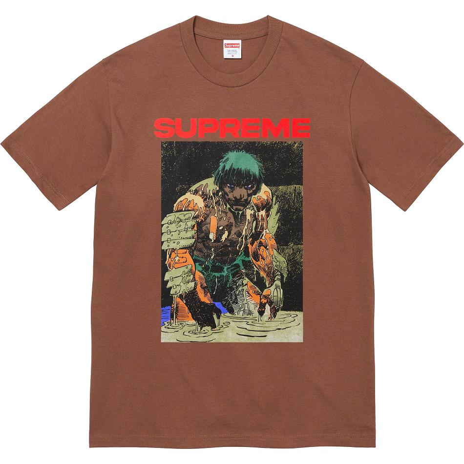 Supreme Ronin Tee T Shirts Brown | MY240ZG