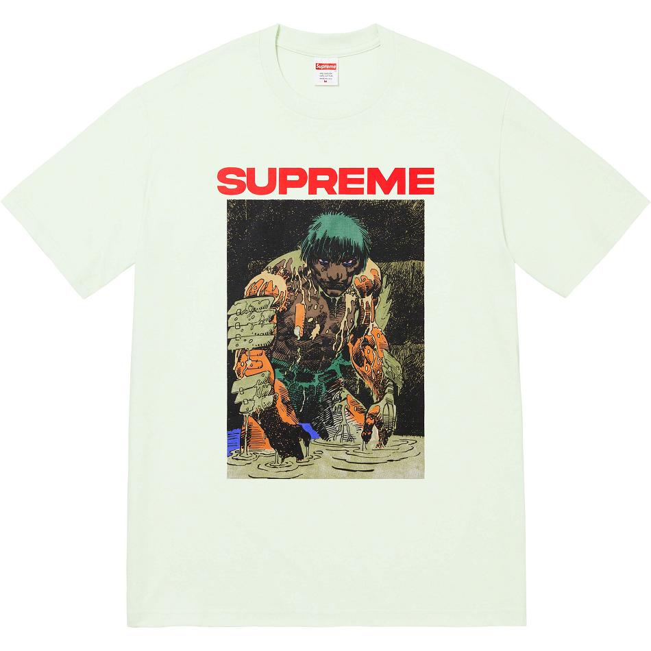 Supreme Ronin Tee T Shirts Mint | MY238KI