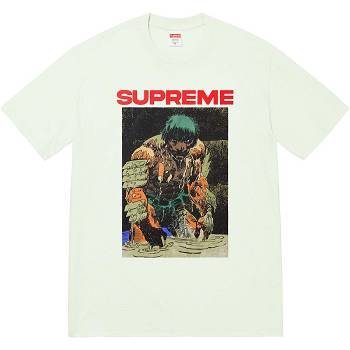 Supreme Ronin Tee T Shirts Mint | MY238KI